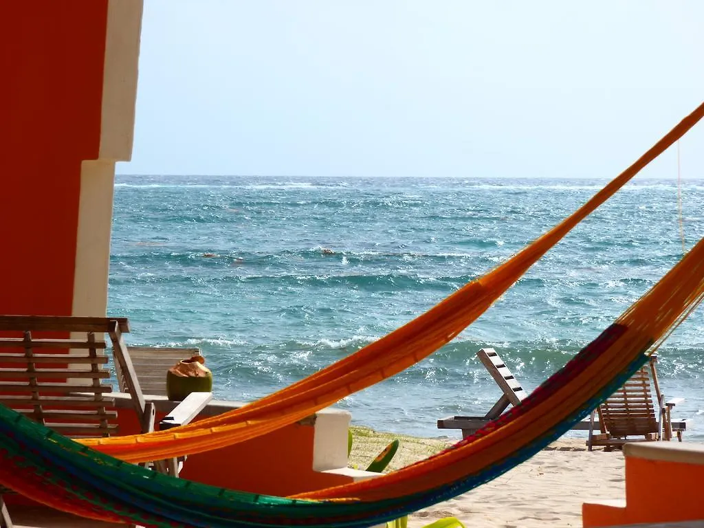 Mayan Beach Garden El Placer